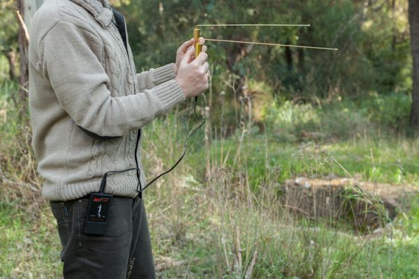 entopisths_xrusouapostatikos_rayfinder_c entopisths_xrusouapostatikos_rayfinder_c