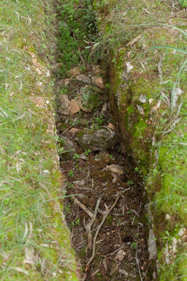 xarakoma_kibotio_lires_icon_data_c