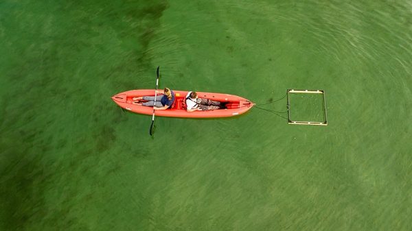 lorenz-z2-palmikoi-anixneytes-xrysoy-nero-thallassa-min lorenz-z2-palmikoi-anixneytes-xrysoy-nero-thallassa-min