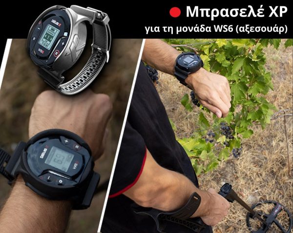 ws6-master-anixneyths-xrysoy-mikroy-megethoys-min