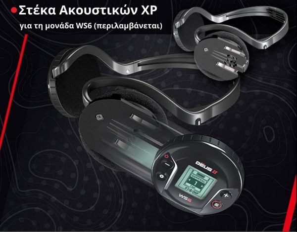 ws6-master-mikroi-anixneytes-metallon-xrysoy-min