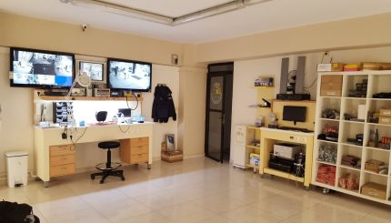 metaxeirismenos-anixneyths-metallon-apath-kyritsis